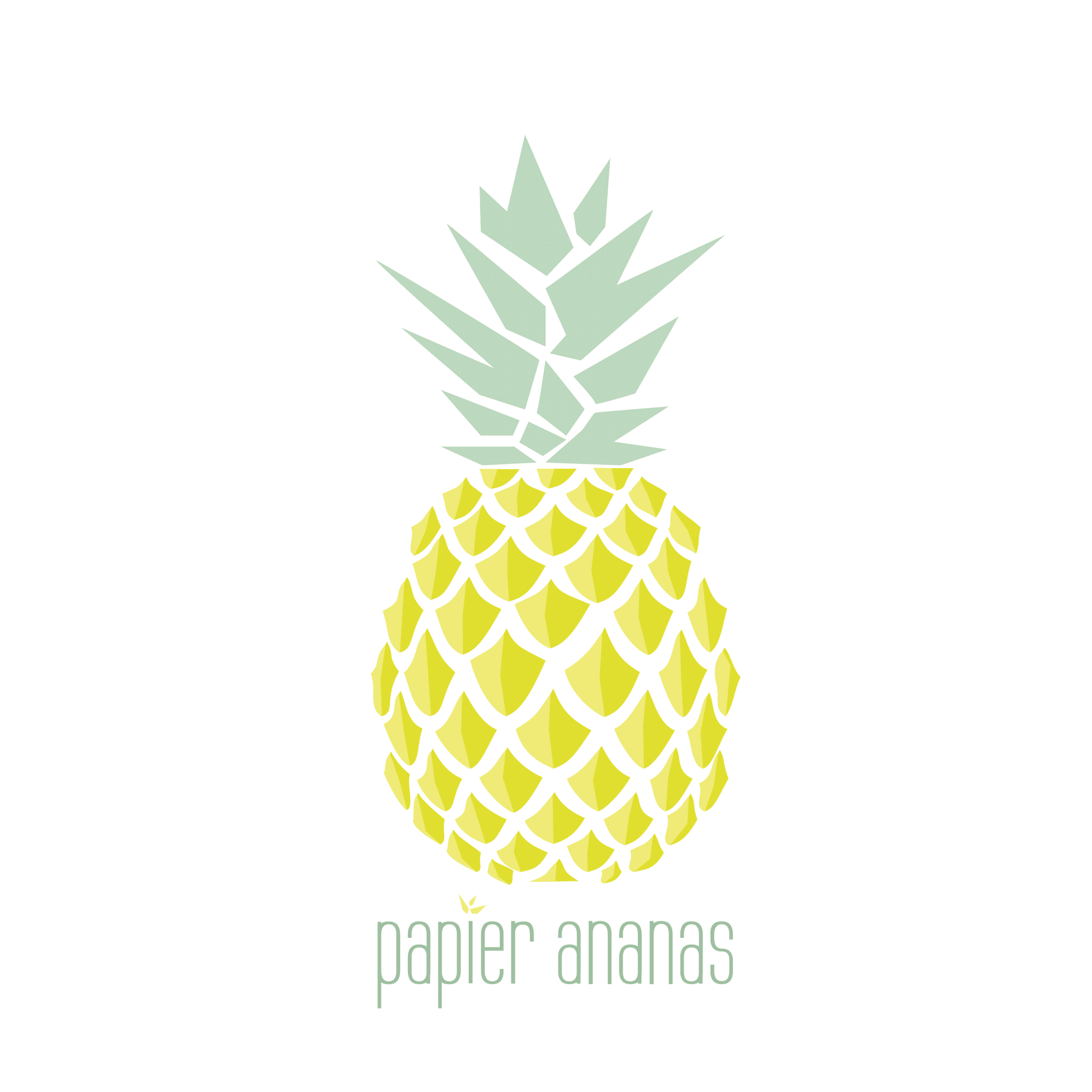 PAPIER ANANAS